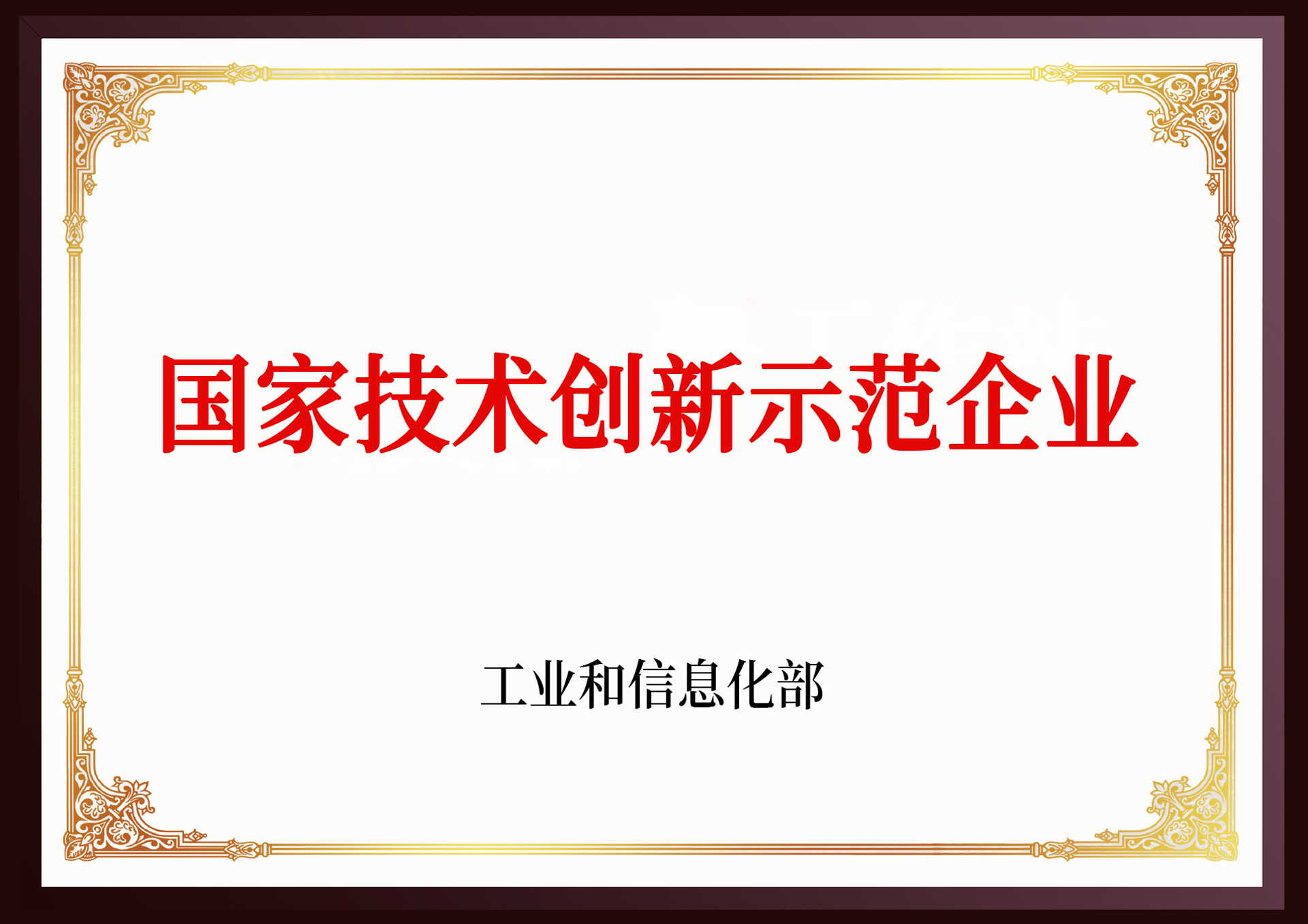 國家技術(shù)創(chuàng)新示范企業(yè)